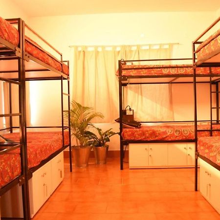 Be Animal Hostel Бенґалуру Екстер'єр фото